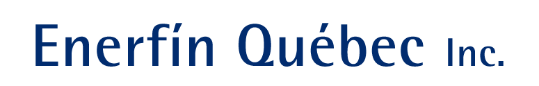 enerfin